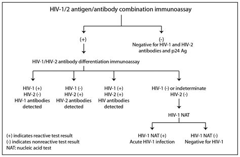 hiv 1 and 2 non reactive means|Technical Update for HIV Nucleic Acid Tests Approved for Diagnostic.